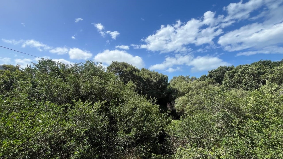 Commercial Property for Sale in Paradise Beach Eastern Cape
